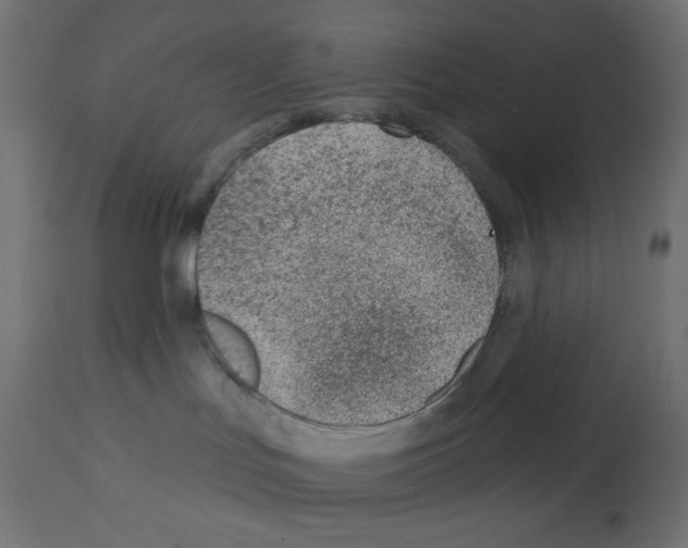 X0000112980047200910081120
