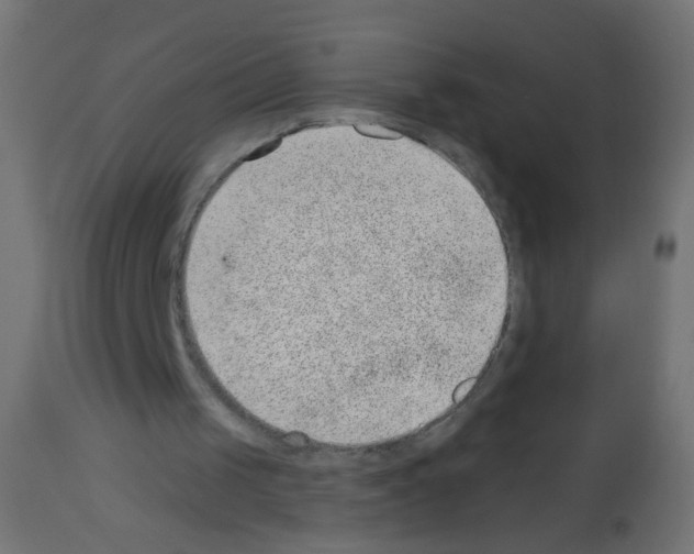 X0000112980049200910081119