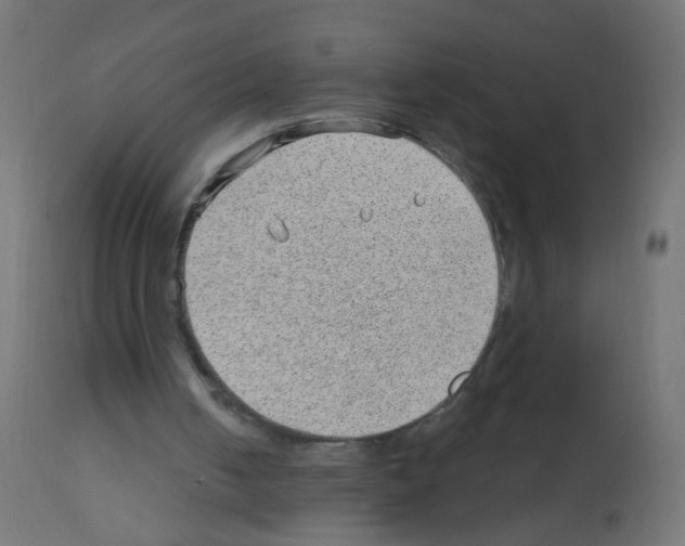 X0000112980050200910081119