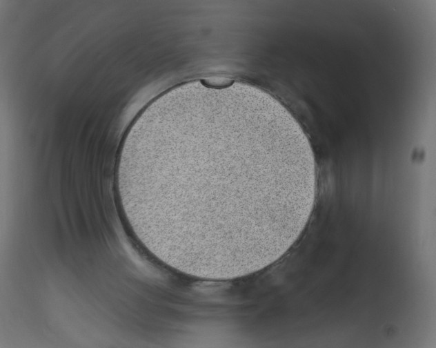 X0000112980051200910081119