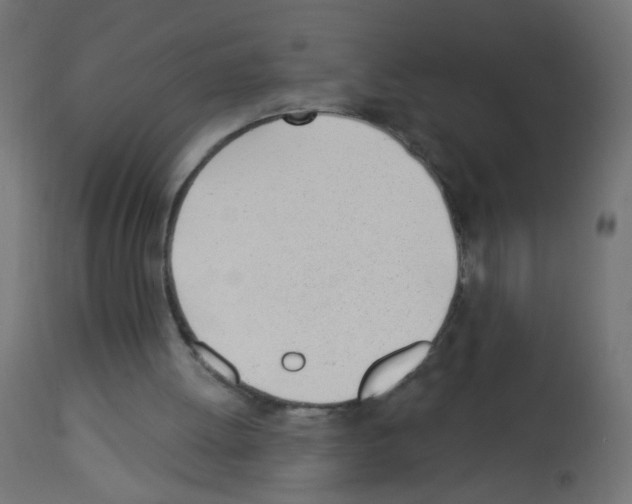 X0000112980052200910081119