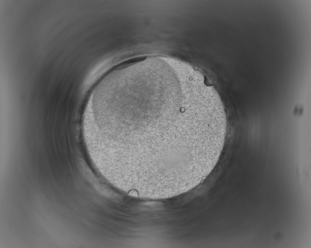 X0000112980053200910081119