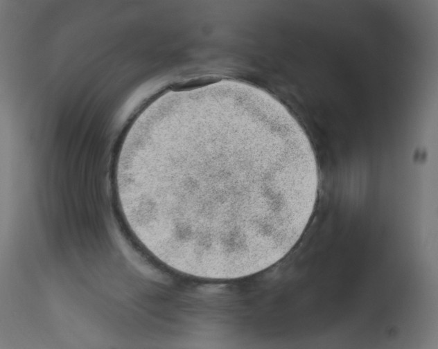 X0000112980054200910081119