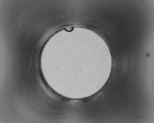 X0000112980055200910081119