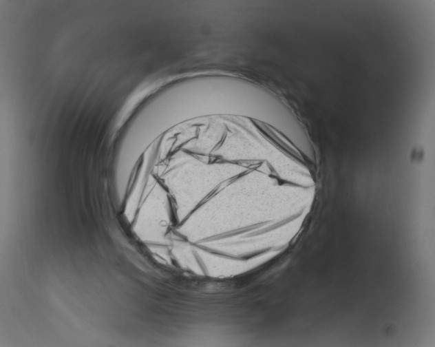 X0000112980056200910081119