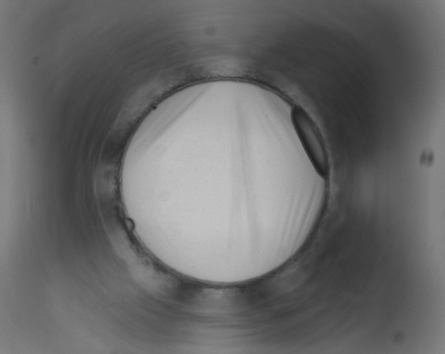 X0000112980057200910081119