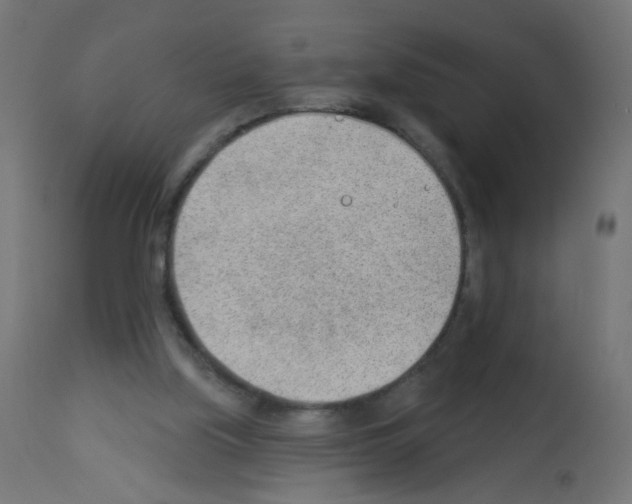 X0000112980059200910081119