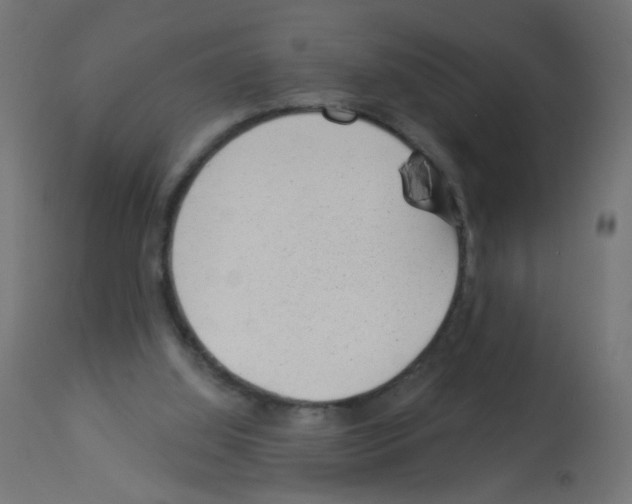 X0000112980060200910081119