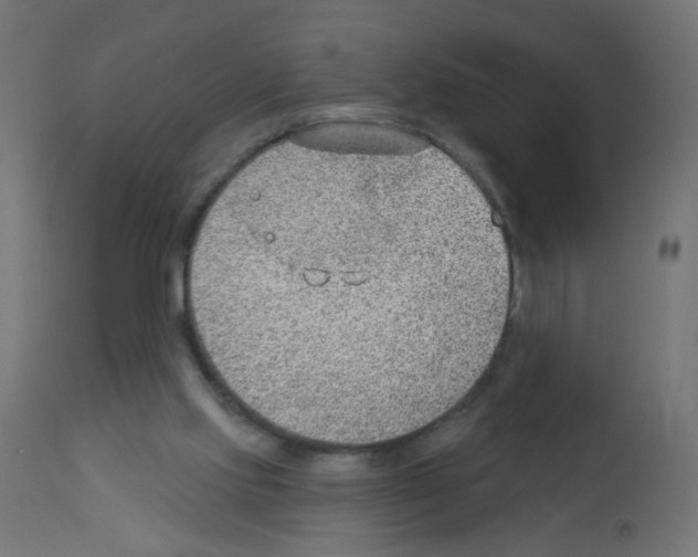 X0000112980061200910081119