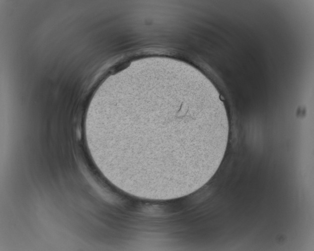 X0000112980062200910081119
