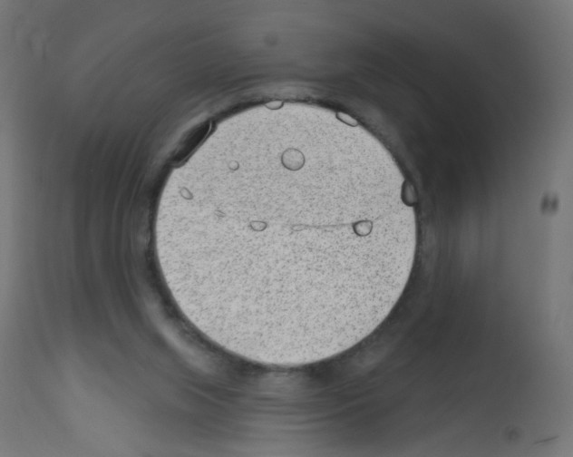 X0000112980063200910081119