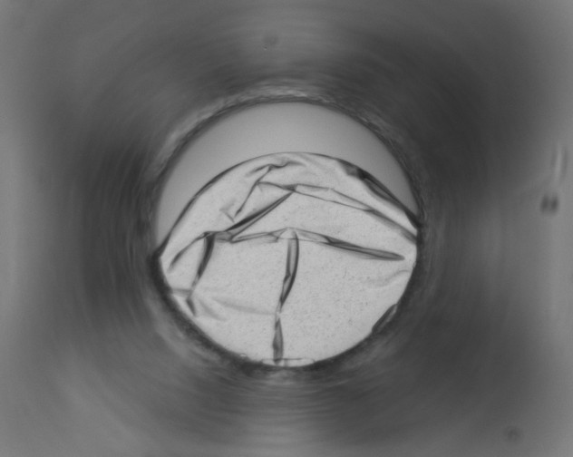 X0000112980064200910081119
