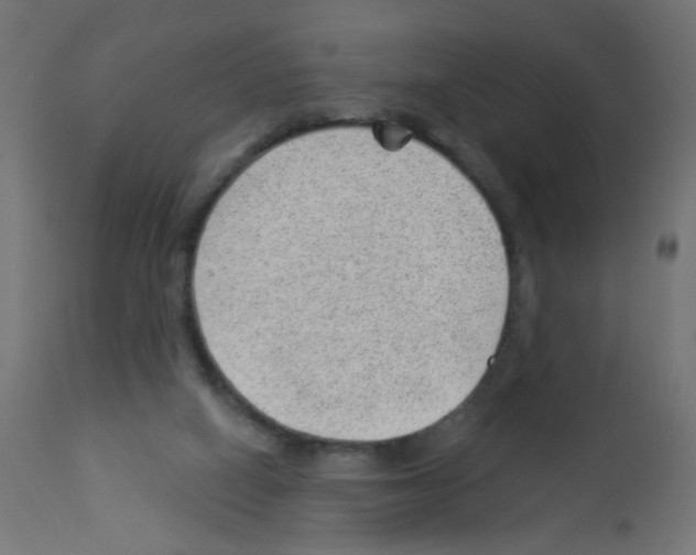 X0000112980066200910081119