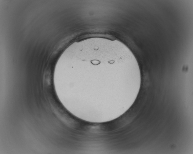 X0000112980068200910081119