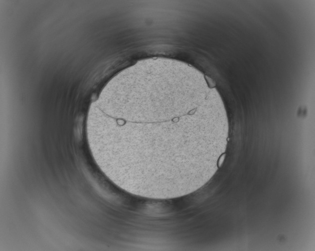 X0000112980070200910081119