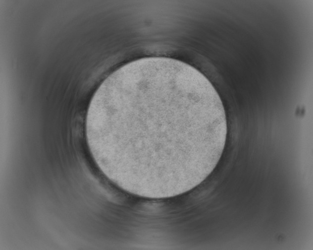 X0000112980071200910081119