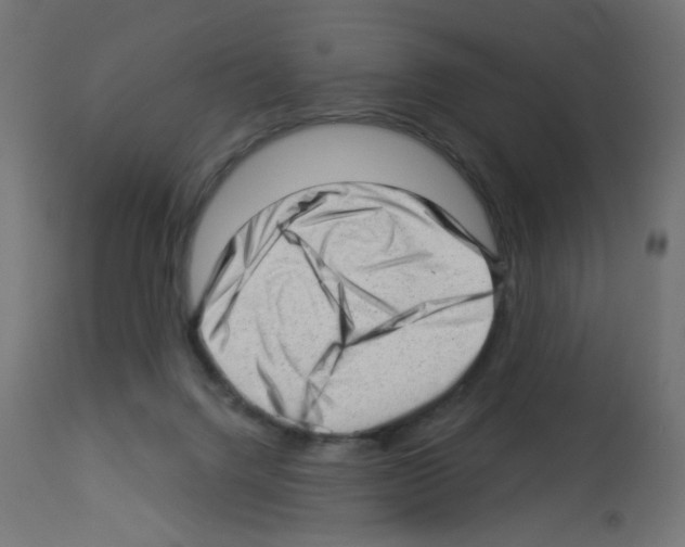 X0000112980072200910081119