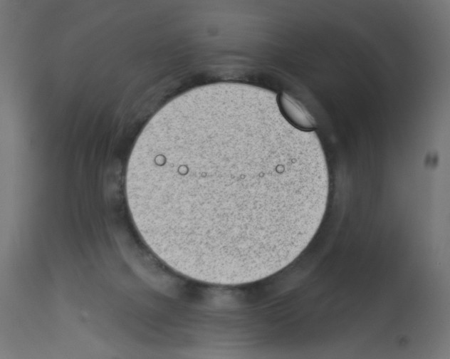 X0000112980073200910081119
