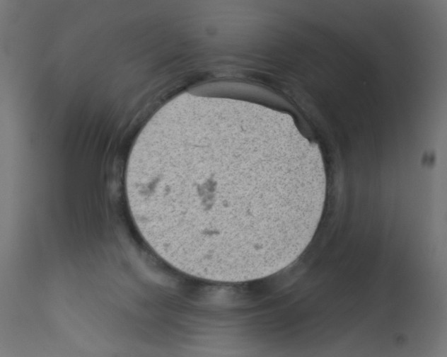 X0000112980074200910081119
