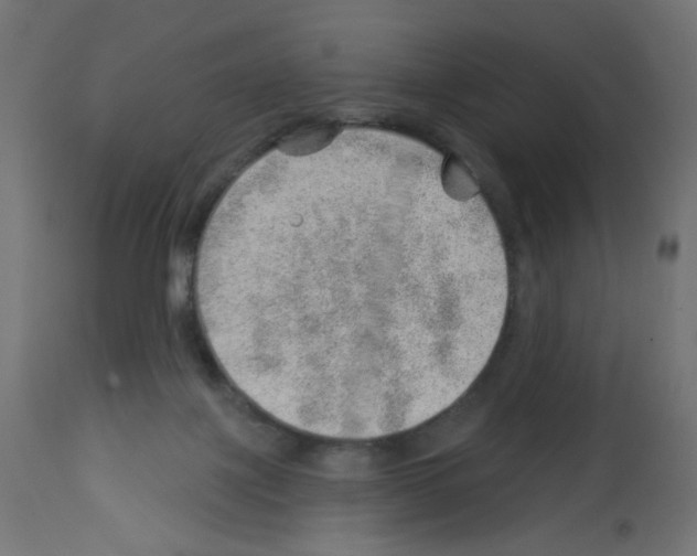 X0000112980075200910081119