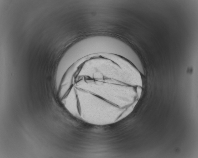 X0000112980076200910081119