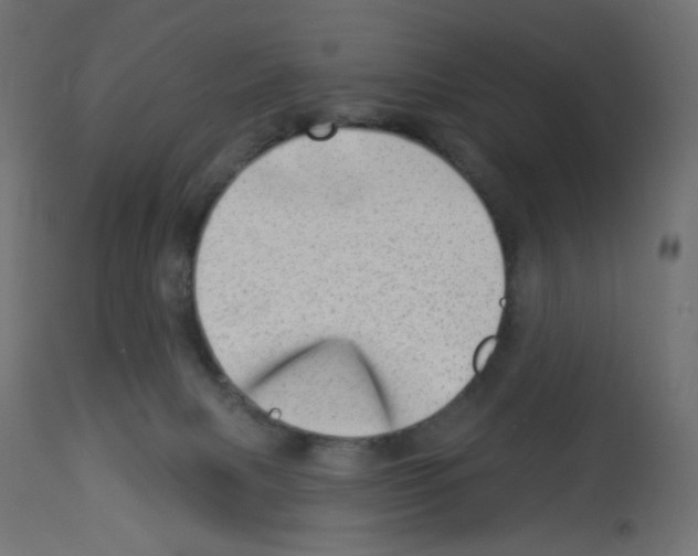 X0000112980079200910081119
