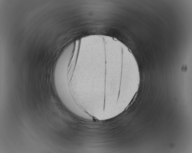 X0000112980080200910081119