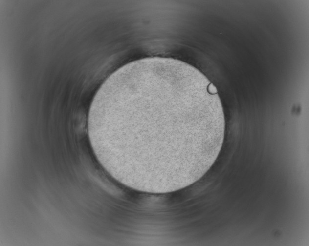 X0000112980081200910081119