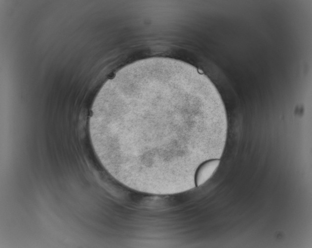X0000112980082200910081120