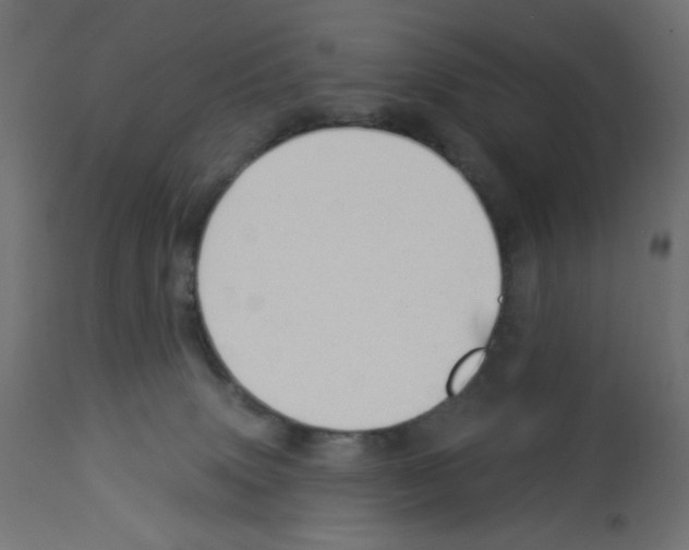 X0000112980083200910081120
