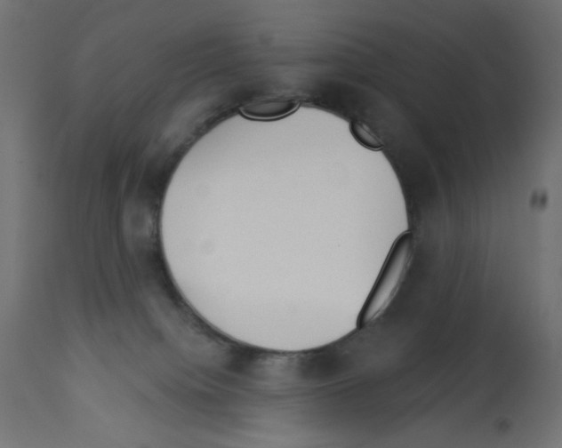 X0000112980084200910081120