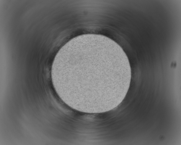 X0000112980086200910081120