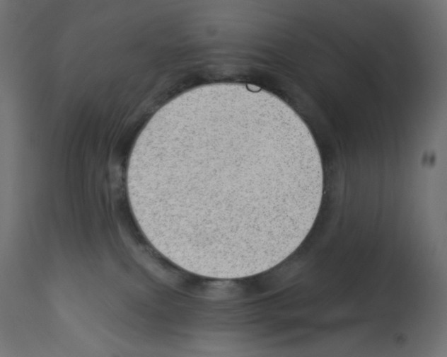 X0000112980087200910081120