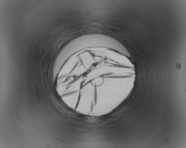 X0000112980088200910081120