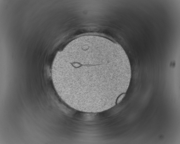 X0000112980089200910081120