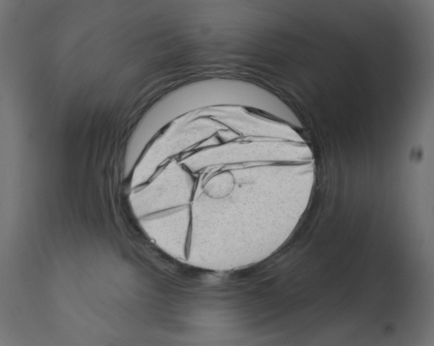 X0000112980092200910081120