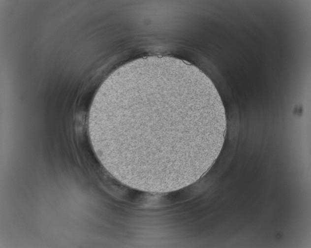 X0000112980093200910081120