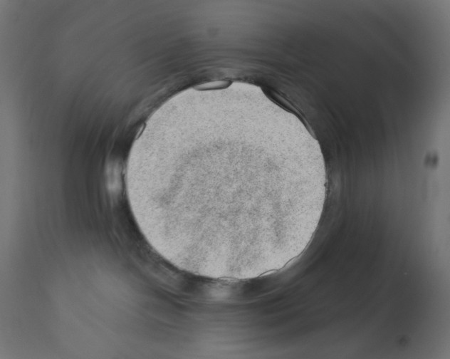 X0000112980094200910081120