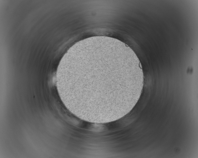 X0000112980095200910081120
