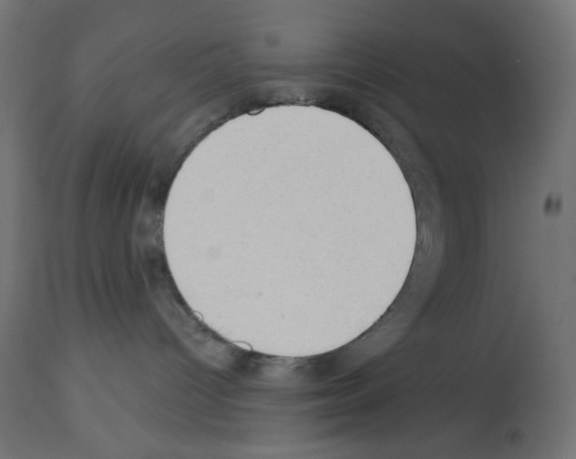 X0000112980096200910081120