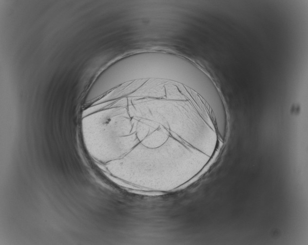 X0000112980097200910081119