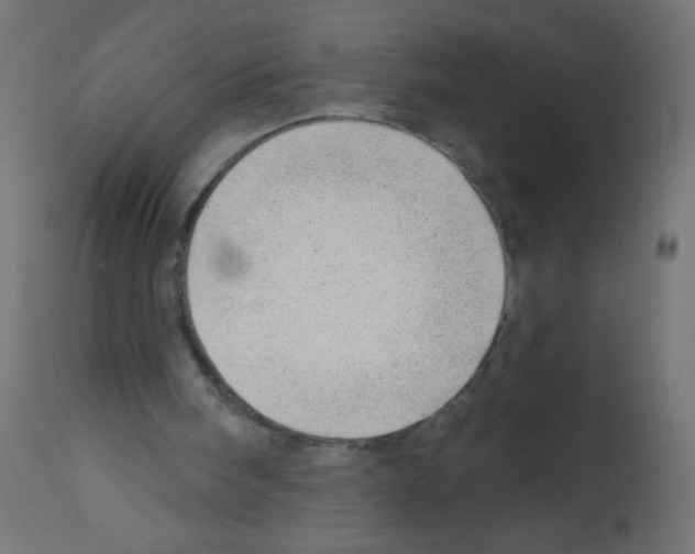 X0000112980098200910081119