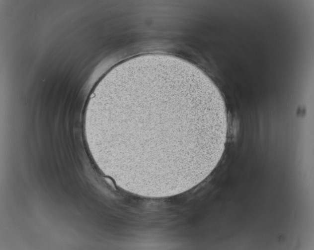 X0000112980099200910081119