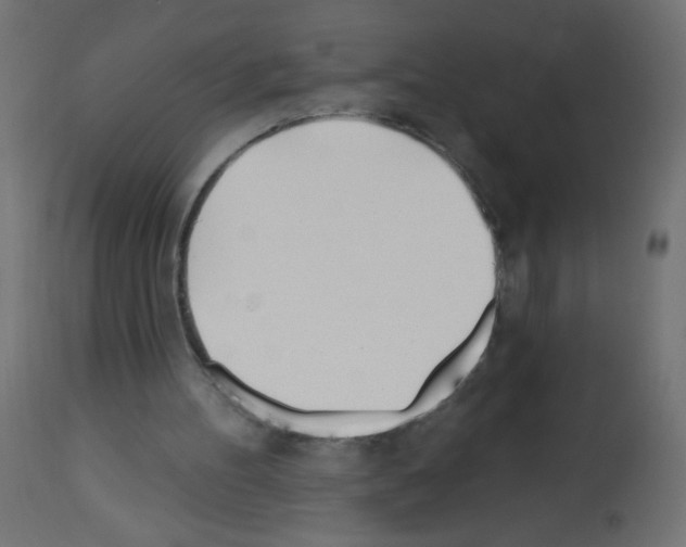 X0000112980100200910081119