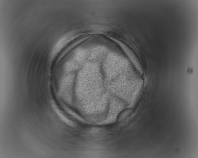 X0000112980101200910081119