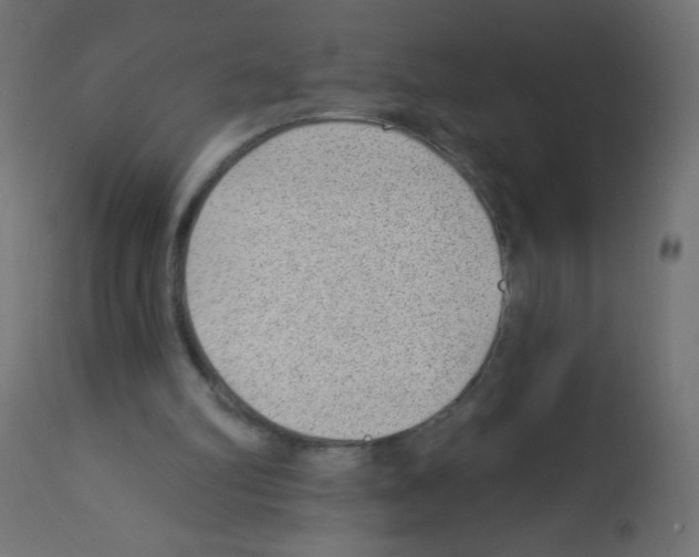 X0000112980102200910081119