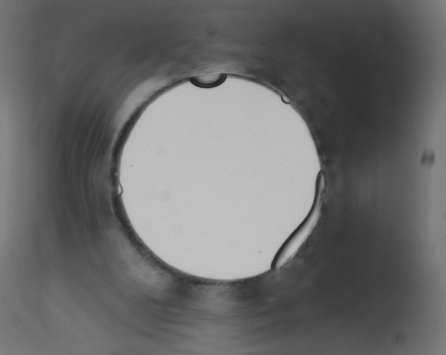 X0000112980104200910081119