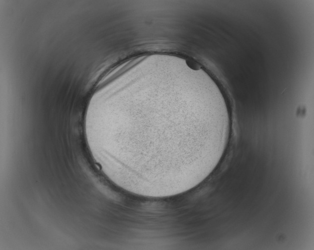 X0000112980105200910081119