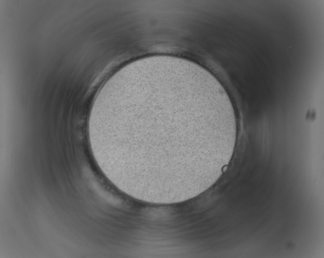 X0000112980106200910081119