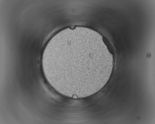 X0000112980107200910081119
